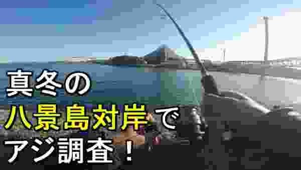 【八景島対岸岸壁】横浜アジ調査！真冬にアジが好調な神奈川県横浜市の最南端にある釣り場で釣りしてみたら【2020.02.18】